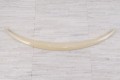 MERCEDES C-CLASS W205 2014-2021 SPOILER KLAPY TYLNEJ