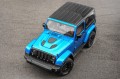 JEEP WRANGLER JK 2007-2018 KRATKI WLOTÓW POWIETRZA DO MASKI RUBICON 10th ANNIVERSARY I TRAILCAT